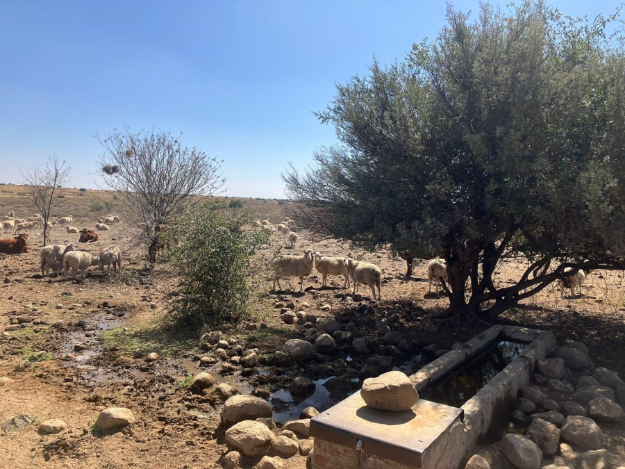 0 Bedroom Property for Sale in Luckhoff Free State